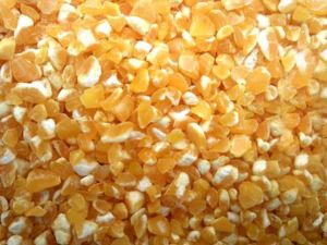 东北地区 麻豆91在线免费碴子机 麻豆91在线免费扒皮机