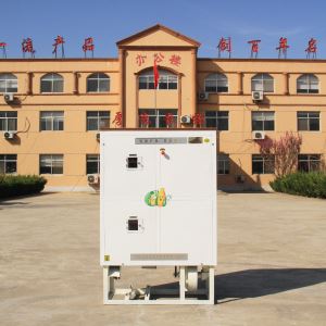 麻豆91在线免费纯干法复式脱皮机 扒皮设备 苞米机